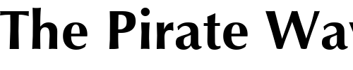 Font : Optimum-Bold 2 Custom Text : The Pirate Way Test your own text here Click to download or to view this font on a tshirt that can be custom printed in Bali